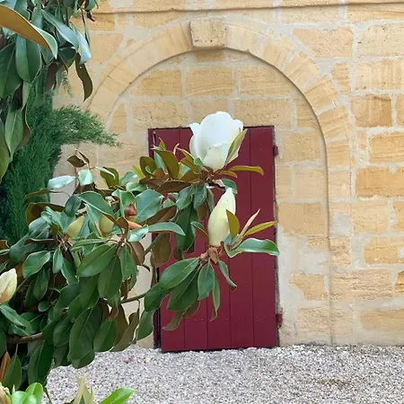 Domaine St Gilles - Maison Entierement Climatisee, Proche Activites Aquatiques Et Equestres Baurech