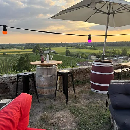 Domaine St Gilles - Maison Entierement Climatisee, Proche Activites Aquatiques Et Equestres Holiday home Baurech