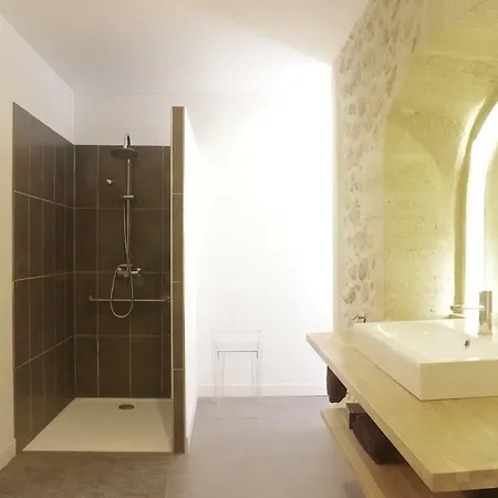 Domaine St Gilles - Maison Entierement Climatisee, Proche Activites Aquatiques Et Equestres * Baurech