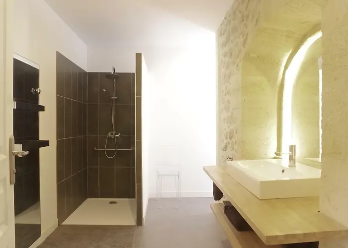 Domaine St Gilles - Maison Entierement Climatisee, Proche Activites Aquatiques Et Equestres * Baurech